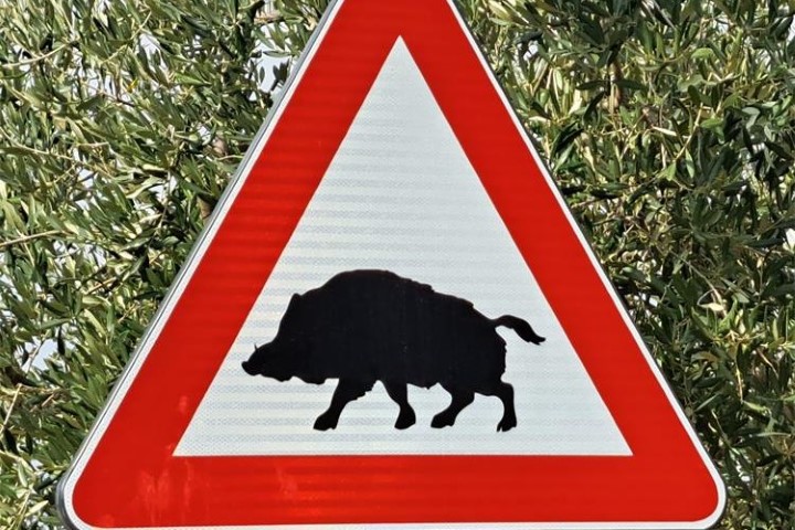 Lovačko društvo najavljuje provedbu lovnih aktivnosti u Bujama, Kaštelu i Krasici